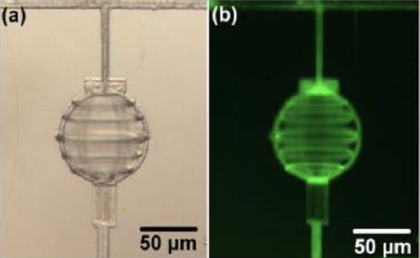 �w�뼤������΢����оƬ�ӹ��I(l��ng)��đ�(y��ng)��