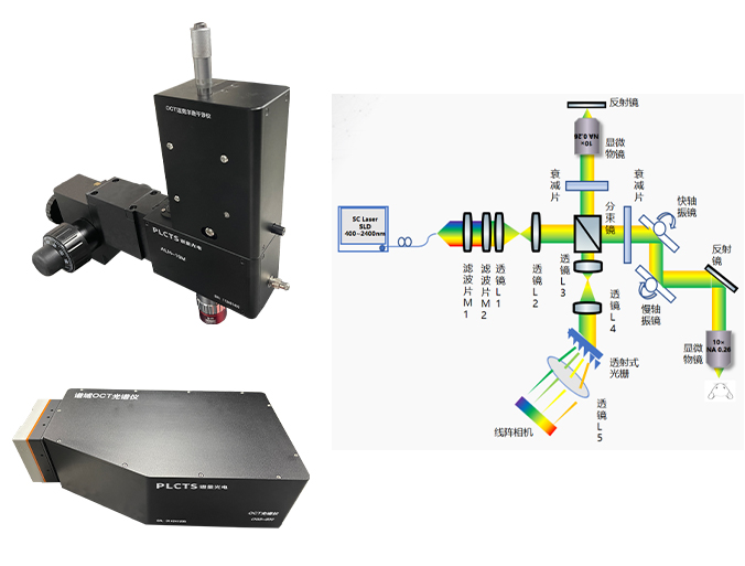 �V��SD-OCT����ϵ�y(t��ng)��B