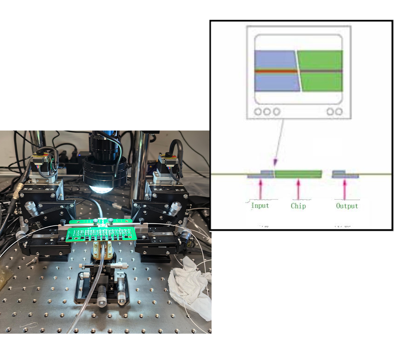 ���w�c����(d��o)������Ϸ���