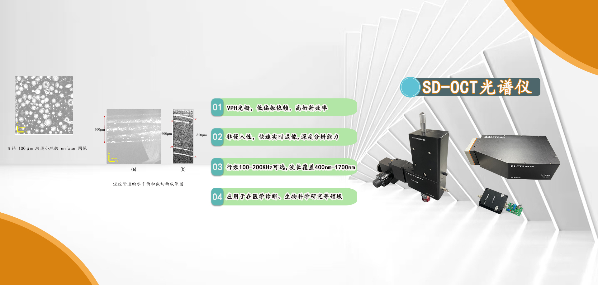 SD-OCT���V�x